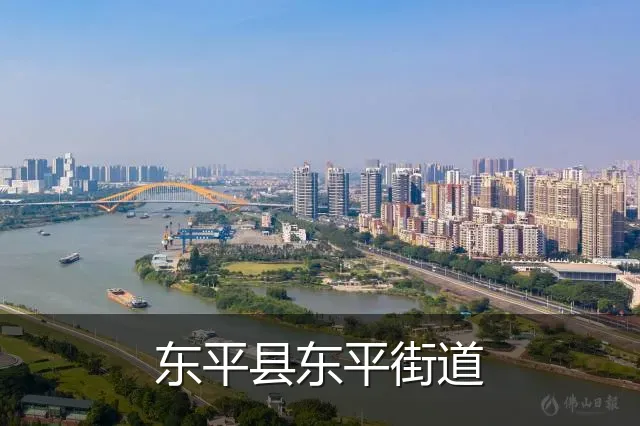 东平县东平街道
