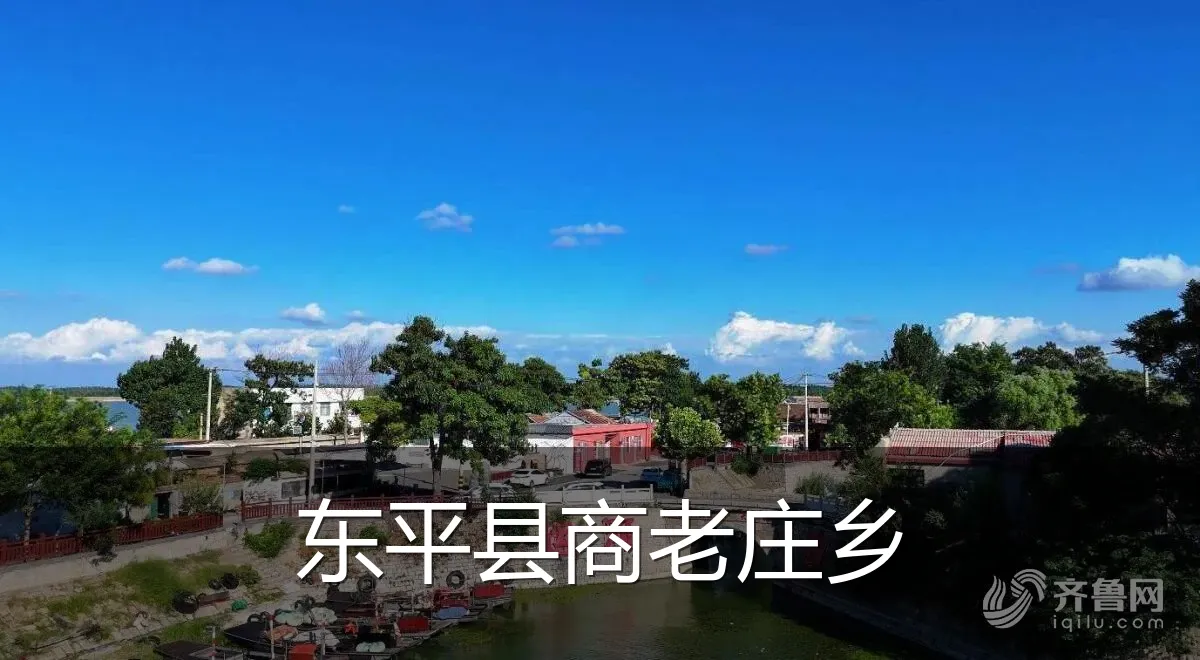 东平县商老庄乡