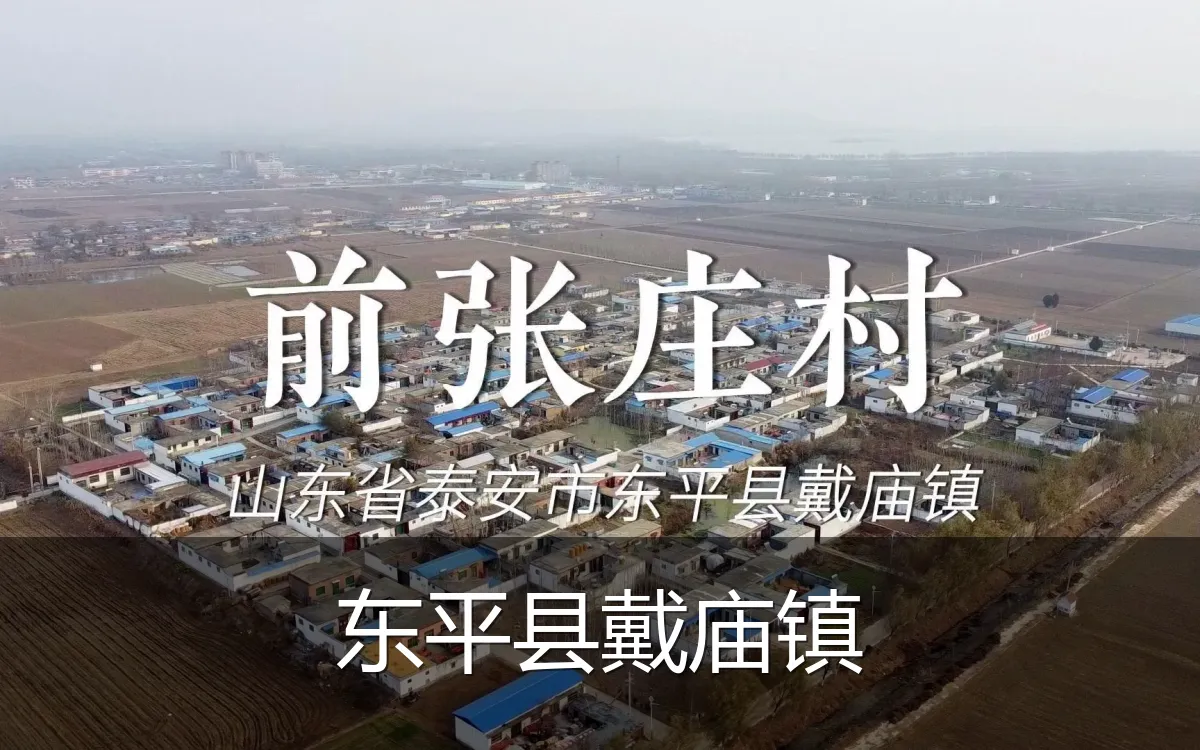 东平县戴庙镇