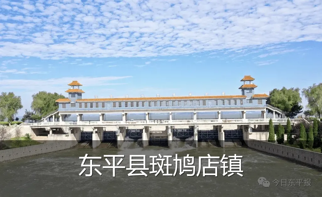 东平县斑鸠店镇
