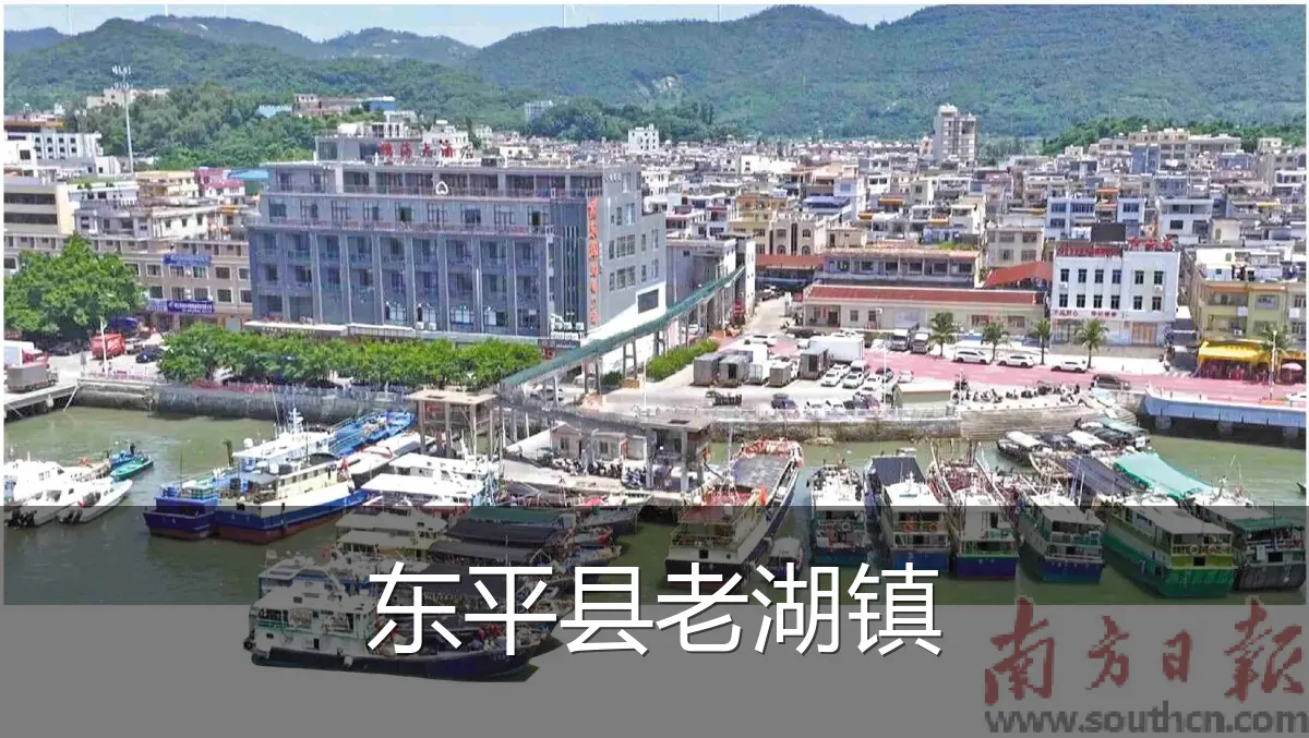 东平县老湖镇